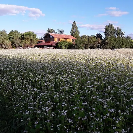 ベッド・アンド・ブレックファスト Berdale