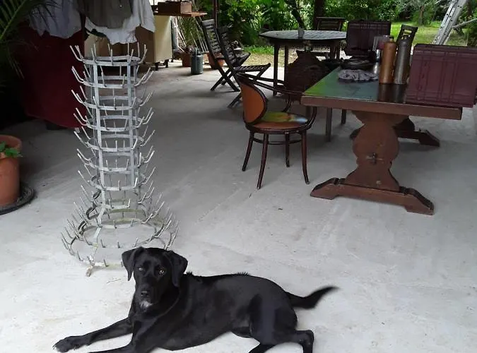 Berdale Bed & Breakfast Gabarret