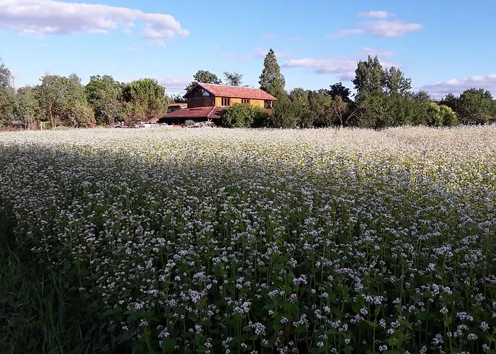 Alojamento de Acomodação e Pequeno-almoço Berdale