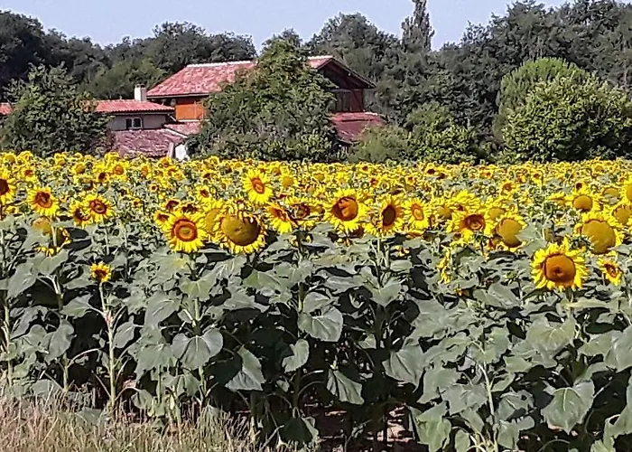 Bed & Breakfast Berdale Gabarret