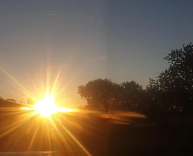 Berdale Bed & Breakfast